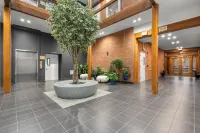 “Elm City” Retreat Near Yale, Parking, Gym, Downtown, Wooster Sq & Union Station