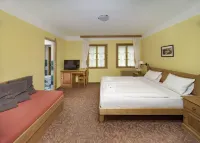 Alpský Hotel Hotels in Špindlerův Mlýn
