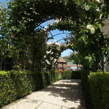 Lilac Rose Boutique Bed and Breakfast Отели рядом с достопримечательностью «Папани»