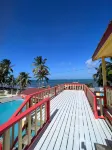 Tropical Paradise - Pools