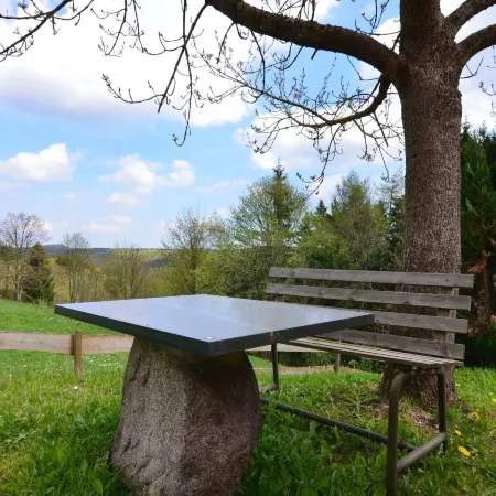 Small and Cozy Apartment in Frauenwald Near Forest