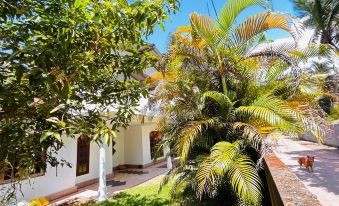 Kida's Guest House