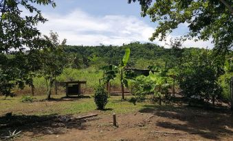 El Gecko Hotel & Tours