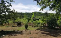 El Gecko Hotel & Tours Hotels in Pochote