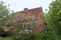 Haus Flieder Hotels near Castle Osterburg