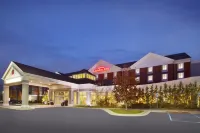 HIlton Garden Inn Detroit/Novi Hotels in Novi