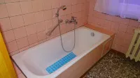 Ferienhaus Oma Inge Zwischen Goitzsche und Muldestausee Haustierfreundlich !
