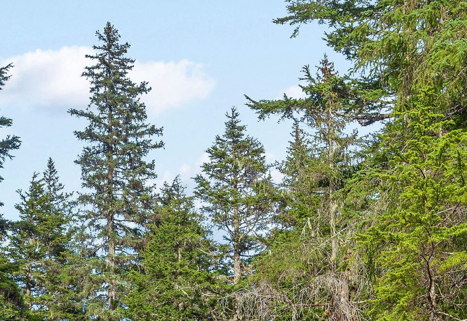 Brighton Condo #208의 아늑한 내부 모습