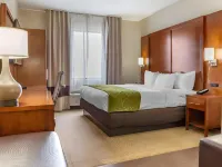 Comfort Suites Dover University Area Hoteles en Dover