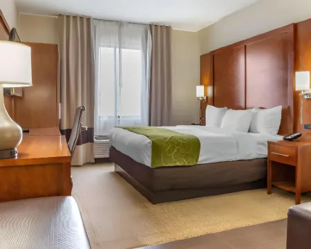 Comfort Suites Dover University Area Hotels in Dover