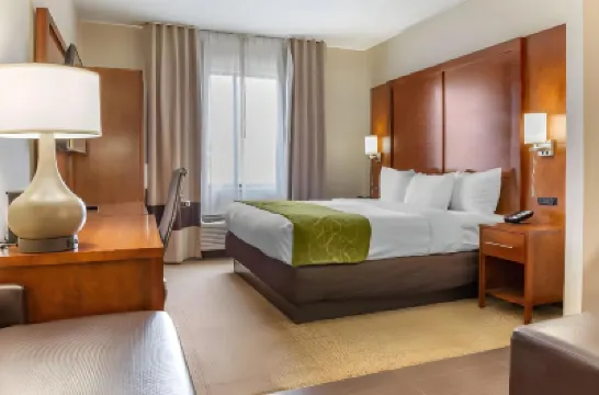 Comfort Suites Dover University Area Hotels in 
