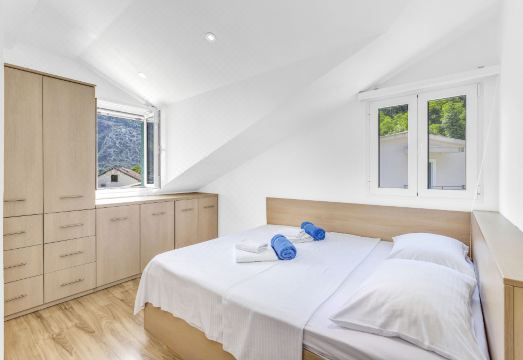 아파트먼트 돈치츠