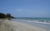 Ocho Rios Ocean View Villa at the Palms -  Holiday Villas