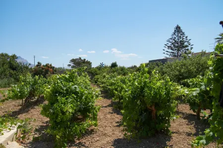 Casolare Nelle Saline Отели в г. Marausa