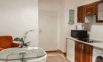 Modern Apartment Wiener Stadthalle 3