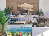 Gran Hotel Costa del Sol - bar