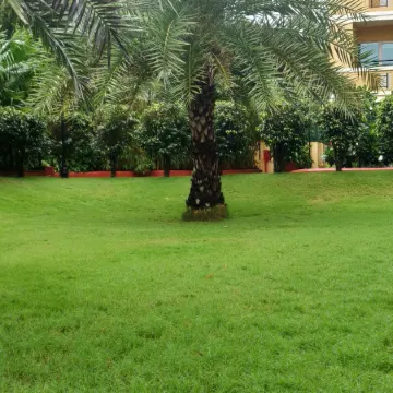 Ibis Styles Goa Calangute