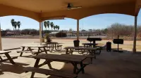Executive Inn & Suites