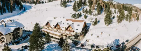 Hotel Turracherhof Отели в г. Предлиц-Туррах