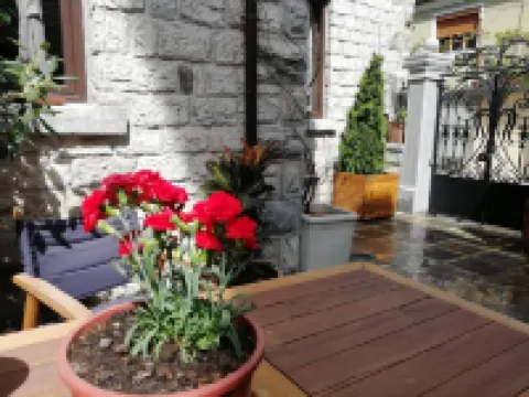 Vila Trebicka Hotels in Korce