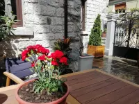 Vila Trebicka Hotels in Korce