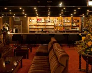 Okazaki New Grand Hotel - Bar