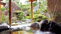 Isawa View Hotel - spa
