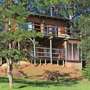 Treks, Trips and Trails