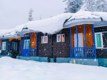 Pine View Resort Отели в г. Baramulla
