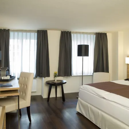 Hotel Goldener Knopf Отели в г. Бад-Зекинген
