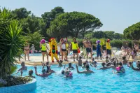 Domaine les Mûriers - Pools