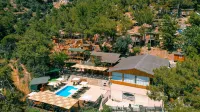 Tree Houses Hotel Hôtels à : Uzunyurt Mahallesi