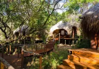 Cabo Beach Villas
