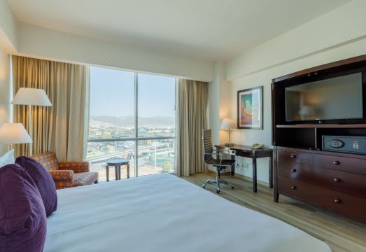 카미노 레알 파추카