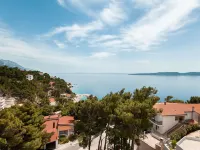 Apartments Lile Hotels in Brela