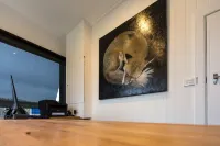 Fox on the Run - Motel Kilmore Hotels in Kilmore