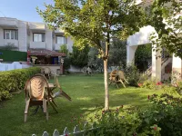 Sunrise Aya Hotel