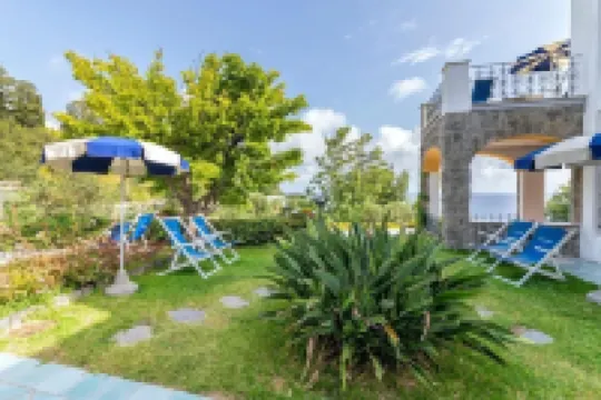 Hotel Oasi Castiglione Hotels in 