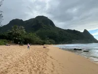 Renee's Poipu Paradise! Oceanfront Views & A/C! - Bungalows