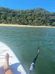 1 Night Free! Absolute Beach Front House Panoramic Views Hotels in Patonga