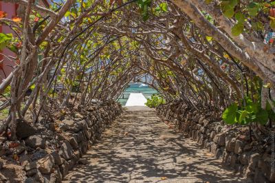 庭 ル･キャップ エスト ラグーン リゾート&スパの写真