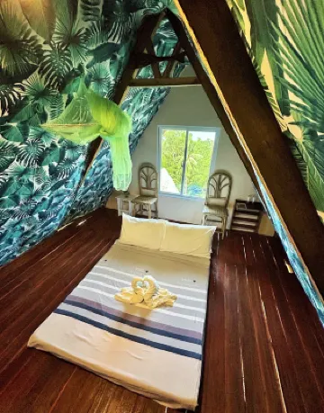 艾爾尼多森林營地