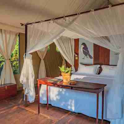 Camp Sabali Rooms