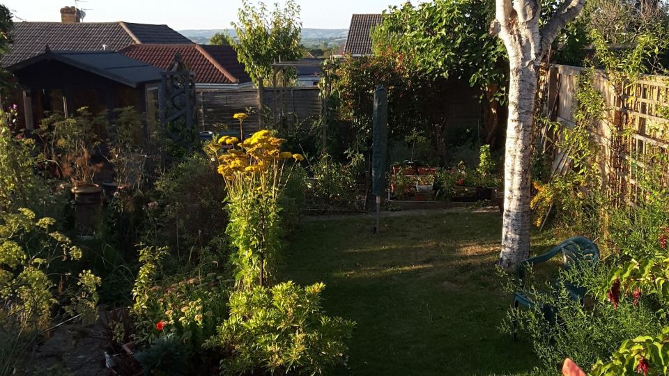 A. B&B - Glastonbury