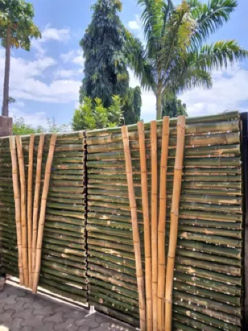 Sprunger Avenue - Tulia Homes