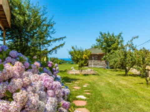 Agva Teras Garden Hotel & Bungalow Hotels in Sile