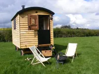 Marshwood Farm B&B Hotels in Hindon