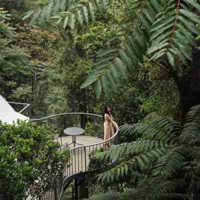 Willmount Geodesic Domes Vagamon Hotel Exterior