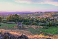 Rustic Terrace2 Bedrooms Farm House