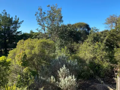 Southern Sand Hotels near The Point On Nepean